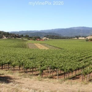 Pic 13 - West Silverado Trail Wide Angle