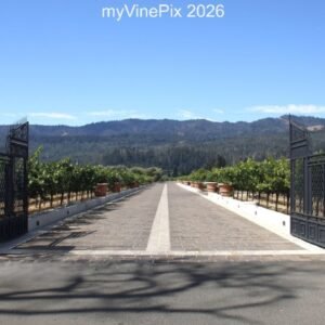 Pic 2 - Hwy 29 Del Dotto Vineyards