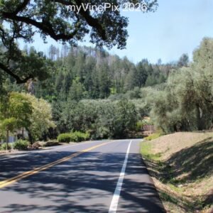Pic 24 - Lodi Lane