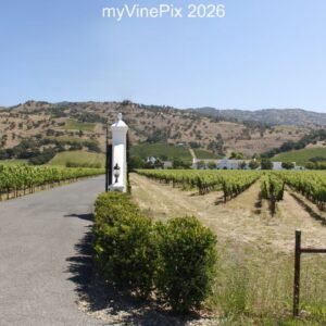 Pic 26 - Chimney Rock Winery