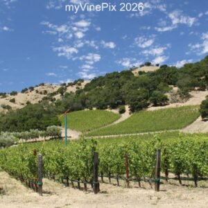 Pic 3 - East Silverado Trail