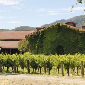 Pic 35 - Mid Valley Aging Cellar
