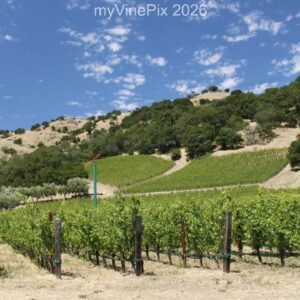 Pic 46 - East Silverado Trail Winery
