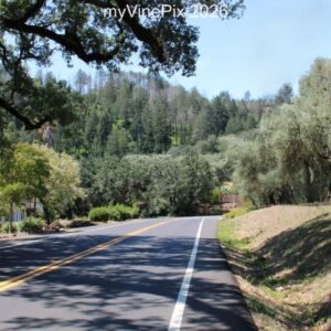 Pic 48 - Lodi Lane