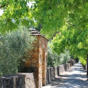 Pic 48 - A Pretty Walkway in St Helena