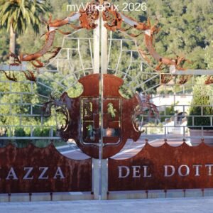Pic 51 - Piazza Del Dotto Winery
