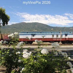 Pic 53 - Antique Napa Valley Train Cars