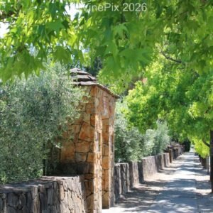 Pic 55 - A Pretty Walkway in St Helena