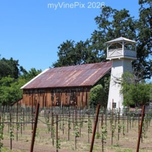 Pic 56 - St Helena Grape Storage Barn of Yore
