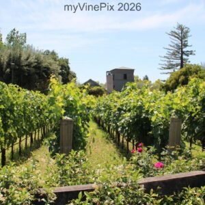 Pic 57 - Vineyard Residence in Town