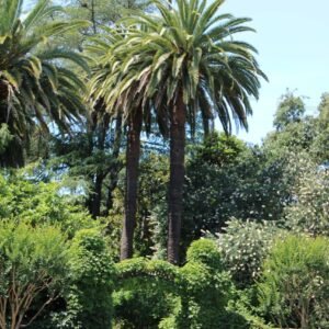 Pic 46 - St Helena Estate Entrance